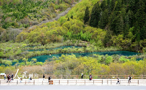 九寨沟天气预报7天-九寨沟天气预报7天景区-第3张图片-雾华天气