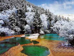 九寨沟天气预报7天-九寨沟天气预报7天景区-第2张图片-雾华天气