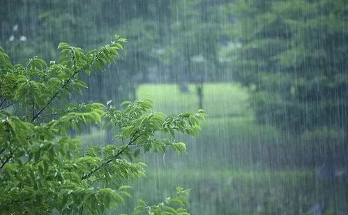 北京今天天气预报几点下雨-北京今天下雨吗几点下雨啊-第2张图片-雾华天气