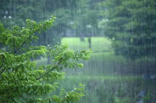 衡水天气预报30天准确一览表图片-衡水天气预报30天-第2张图片-雾华天气