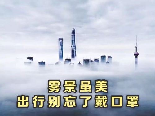 上海天气网官方网站-上海市气象局官方网站15天预报-第2张图片-雾华天气