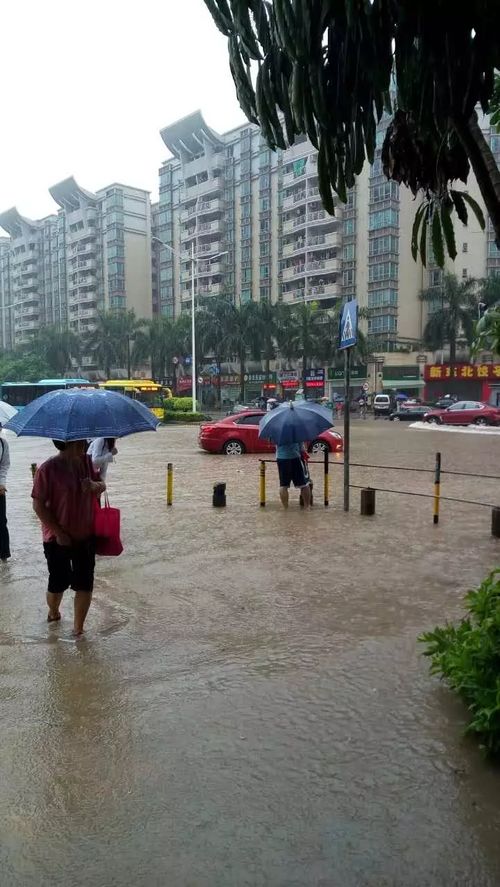 今明后三天天气预测-今后三天天气预报-第2张图片-雾华天气