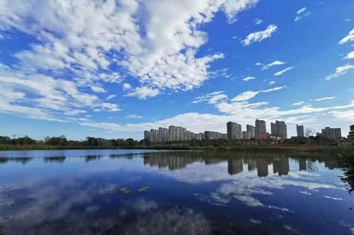 嘉兴天气预报15天气-嘉兴天气预报30天查询-第3张图片-雾华天气