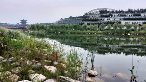 渭南市限号查询今天最新消息-渭南市限号查询今天-第2张图片-雾华天气