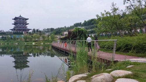 渭南市限号查询今天最新消息-渭南市限号查询今天-第3张图片-雾华天气