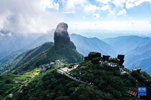 梵净山天气预报15天-梵净山天气预报15天查询百度地图-第1张图片-雾华天气