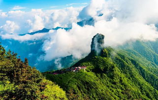 梵净山天气预报15天-梵净山天气预报15天查询百度地图-第3张图片-雾华天气