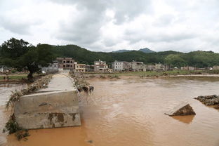 河源天气预报15天-河源天气预报15天查询免费-第3张图片-雾华天气