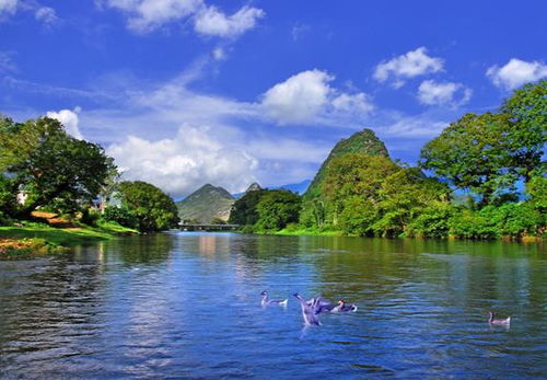 河源天气预报15天-河源天气预报15天查询免费-第1张图片-雾华天气