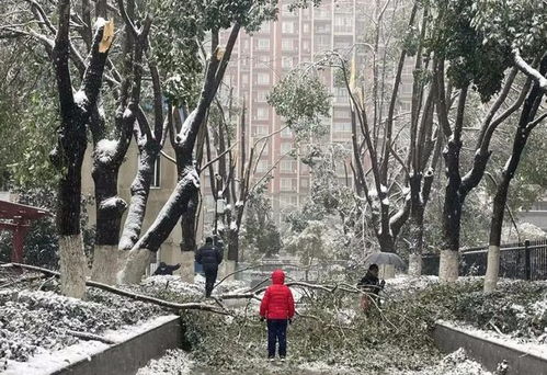 临武天气预报40天查询百度百科-临武天气预报40天-第2张图片-雾华天气