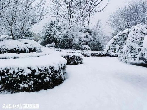 2021年12月份天气-2021年12月天气预报30天查询-第3张图片-雾华天气