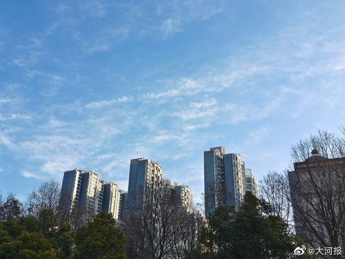 郑州天气预报15天起-郑州天气预报15天气报-第3张图片-雾华天气