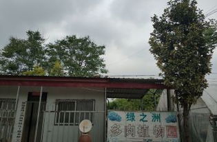 鄢陵天气预报15天查询-鄢陵天气预报15天查询当地疫情情况-第2张图片-雾华天气