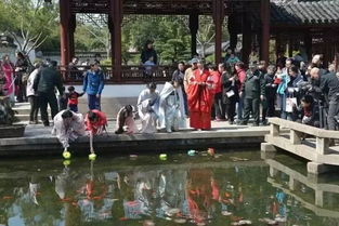 清明节限行-清明节限行不成都-第1张图片-雾华天气