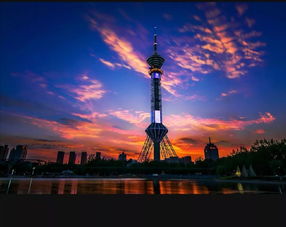 石家庄限号查询2023年12月-石家庄限号查询2019-第3张图片-雾华天气