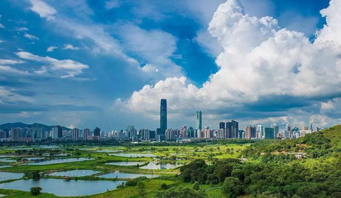 深圳一周天气预报七天 app-深圳一周天气预报七天-第3张图片-雾华天气