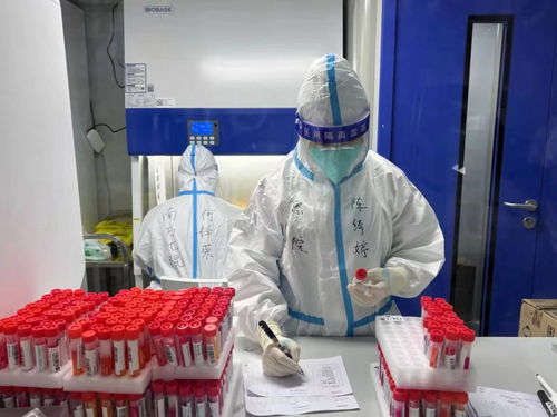 上海进出最新政策规定-上海进出最新政策-第2张图片-雾华天气