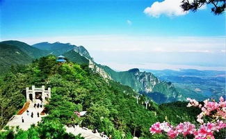 江西省九江天气预报一周-九江天气预报一周7天-第2张图片-雾华天气