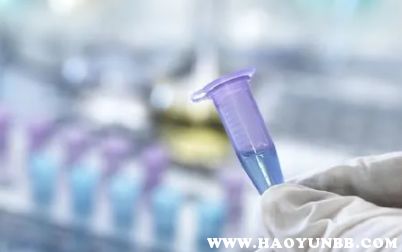 现在进出上海市有什么规定-现在进出上海方便吗-第1张图片-雾华天气