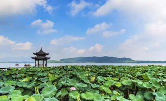 杭州景区限行时间和范围-杭州景区限行-第2张图片-雾华天气