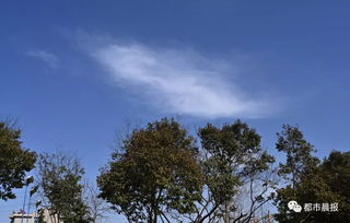 徐州天气预报一周7天-徐州天气预报一周7天详情文字-第3张图片-雾华天气