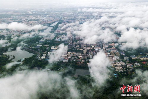 南京天气预报15天气报气-南京天气预报15天准确天-第3张图片-雾华天气