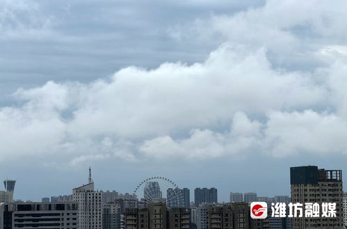 潍坊天气预报15天气-潍坊天气预报15天气报气最新-第1张图片-雾华天气