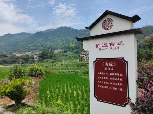凤阳天气预报24小时-凤阳天气预报15天查询结果-第3张图片-雾华天气