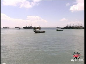 湛江天气预报15天查询-湛江天气预报15天查询十月份-第3张图片-雾华天气