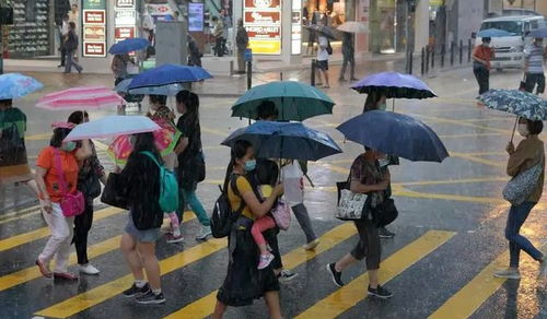 广州天气暴雨预警停课吗最新消息-广州天气暴雨预警停课吗-第3张图片-雾华天气