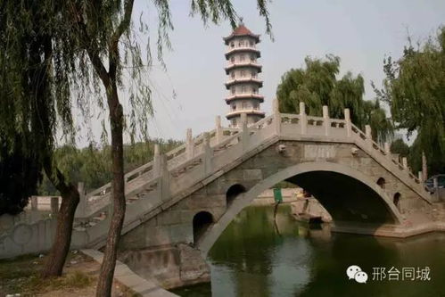 河北邢台天气预报15天准确-河北邢台天气预报15天-第3张图片-雾华天气