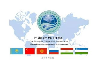 青岛今天限行多少号-青岛今天限行多少号啊-第3张图片-雾华天气