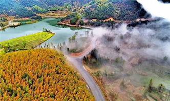 信阳天气预报天气下载-下载信阳天气预报15天-第2张图片-雾华天气
