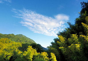 黄冈天气预报15天-黄冈天气预报15天准确罗田县-第2张图片-雾华天气