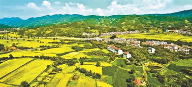 黄冈天气预报15天-黄冈天气预报15天准确罗田县-第3张图片-雾华天气
