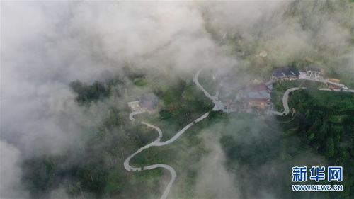 利川天气预报15天查询最新消息-利川天气预报15天查询-第1张图片-雾华天气
