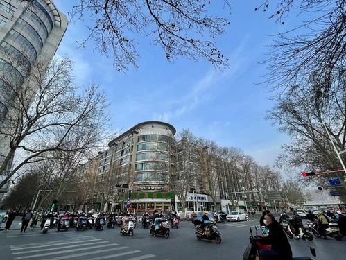 河南郑州天气预报15天-河南郑州天气预报15天查询系统-第1张图片-雾华天气