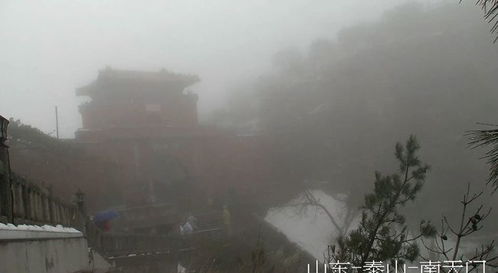 泰安天气预报七天-泰安天气预报七天查询最新-第2张图片-雾华天气