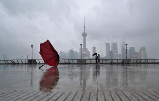 上海天气预报台风-上海天气预报台风最新数据-第1张图片-雾华天气
