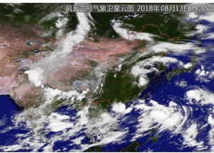 金华天气预报一周7天-浙江金华天气预报一周7天-第1张图片-雾华天气