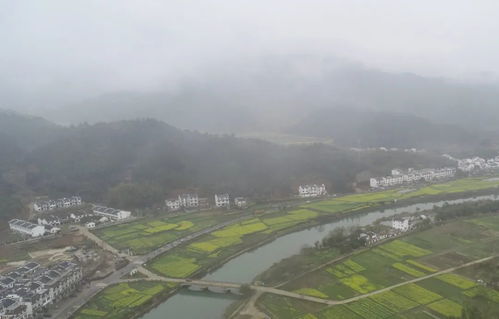 婺源天气预报一周7天风-婺源天气预报一周7天-第1张图片-雾华天气