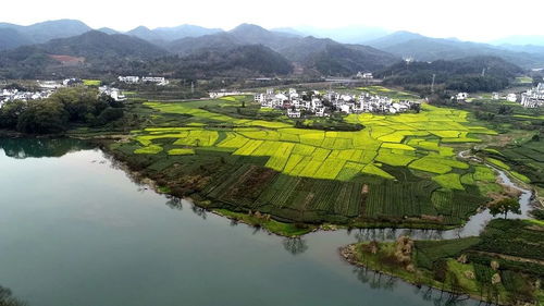 婺源天气预报一周7天风-婺源天气预报一周7天-第2张图片-雾华天气