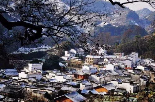 婺源天气预报一周7天风-婺源天气预报一周7天-第3张图片-雾华天气