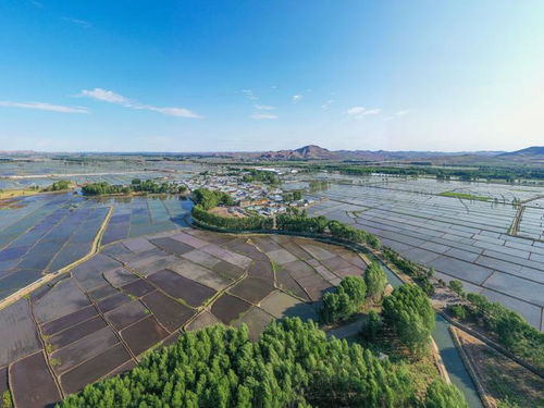 乌兰浩特24小时天气预报查询-乌兰浩特24小时天气预报-第1张图片-雾华天气