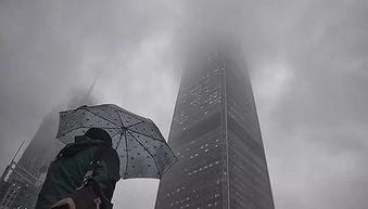 重庆错峰限行时间及范围-重庆错峰限行时间及范围怎么理解-第2张图片-雾华天气