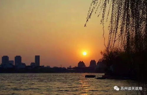 苏州40天天气预报查询结果-苏州40天天气预报查询趋势-第1张图片-雾华天气