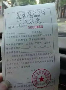外地车牌不小心进入限行区域怎么处罚-外地车牌不小心进入限行区域-第2张图片-雾华天气