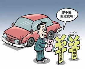外地车牌不小心进入限行区域怎么处罚-外地车牌不小心进入限行区域-第1张图片-雾华天气