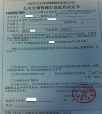 外地车牌不小心进入限行区域怎么处罚-外地车牌不小心进入限行区域-第3张图片-雾华天气