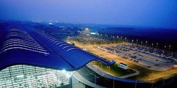 郑州航空港区最新消息疫情-郑州航空港区最新消息-第1张图片-雾华天气